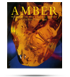 Amber: Window to the Past Amber: Window to the Past