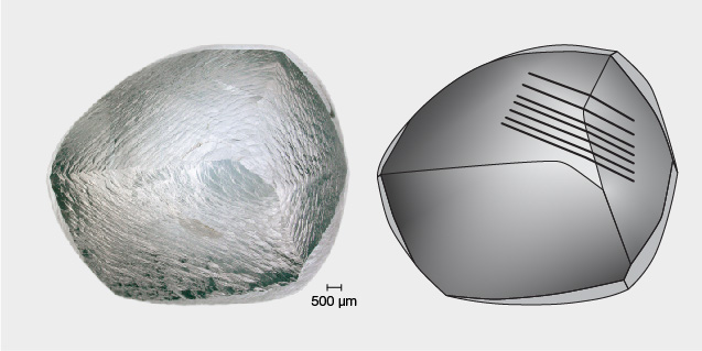 An image showing a translucent, textured mineral or crystal on the left and a detailed, shaded illustration of its shape on the right. An image showing a translucent, textured mineral or crystal on the left and a detailed, shaded illustration of its shape on the right.