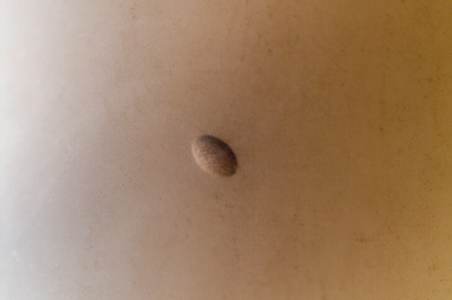 An elongated gas bubble was observed in the white bangle. An elongated gas bubble was observed in the white bangle.