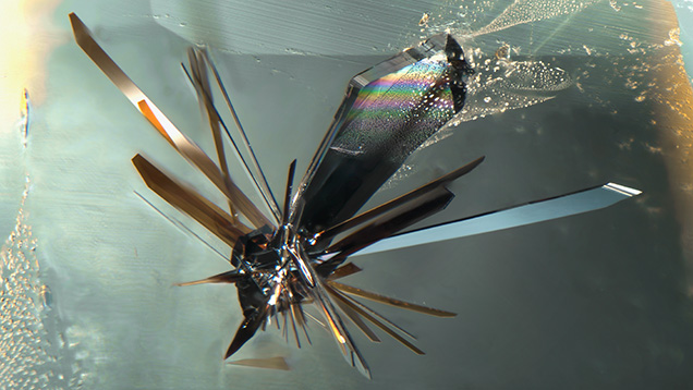 Bladed crystals of columbite radiate from a central point in colorless topaz. The mirror-like surfaces allow for reflections of neighboring blades, as seen in the top left crystal. Photomicrograph by Tyler Smith; field of view 2.90 mm.