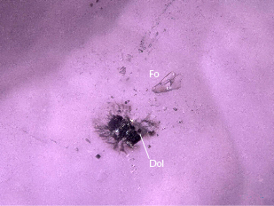 Figure 3. A colorless subhedral forsterite (Fo) inclusion and a dolomite (Dol) inclusion with an unknown dark material attached. Photomicrograph by Jinlin Wu; field of view 0.66 mm. 
