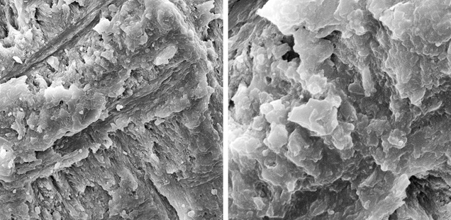 SP13-Zuowei-fig11-AB 147437 SP13-Zuowei-fig11-AB 147437