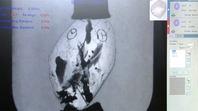 当宝石浸入液体的 Sarin Galaxy 1000 中时，原石呈白色而内含物呈黑色。