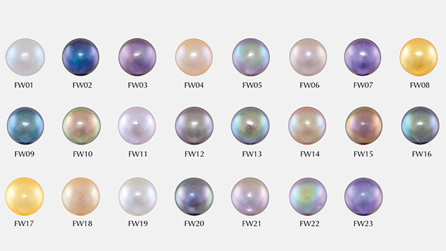 “Edison” Chinese freshwater cultured pearls from this study “Edison” Chinese freshwater cultured pearls from this study