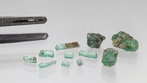 Figure 1. Eight Kazakhstani emeralds (left) and three Ukrainian beryl and emerald samples (right), with gemological tweezers shown for scale. The leftmost Ukrainian emerald has a chemistry between that of aquamarine and emerald. Photo by Emily Lane; courtesy of Gerhard Franz and Oleksii Vyshnevskyi.