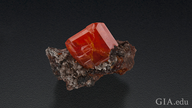A large red-orange crystal of wulfenite is nestled in the arms of matrix.