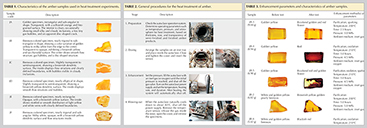 Characteristics of Amber Samples Characteristics of Amber Samples