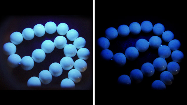 SP13-Zuowei-fig3-AB 147435 SP13-Zuowei-fig3-AB 147435