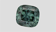 Two illuminants produce little variation in the bodycolor of this ziron.
