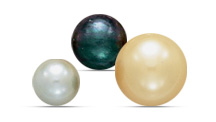 GRADUATE PEARLS DIPLOMA PROGRAM