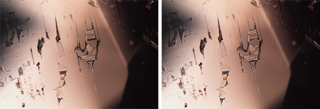Figure 1. Left: Negative crystal in an alexandrite containing a fluid and crystals at room temperature. Right: Below 31.2°C, multiple gas bubbles appear. Photomicrographs by Jamie Price; field of view 1.99 mm. Figure 1. Left: Negative crystal in an alexandrite containing a fluid and crystals at room temperature. Right: Below 31.2°C, multiple gas bubbles appear. Photomicrographs by Jamie Price; field of view 1.99 mm.