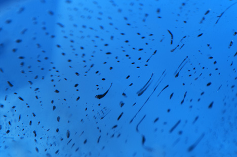 Flux fingerprint in the flame-fusion synthetic sapphire.