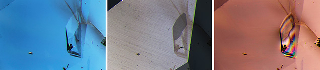 A colorless grandidierite crystal in sapphire (left) examined in reflected light (center) and cross-polarized light (right). A colorless grandidierite crystal in sapphire (left) examined in reflected light (center) and cross-polarized light (right).