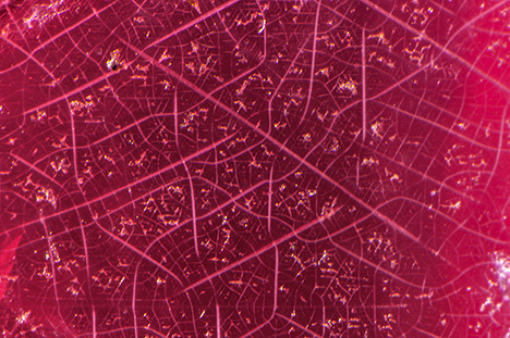 Burmese spinel with fractures similar to the tourmaline’s.