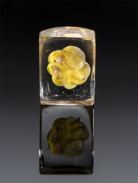Manufactured floral-shaped inclusion in quartz. Manufactured floral-shaped inclusion in quartz.