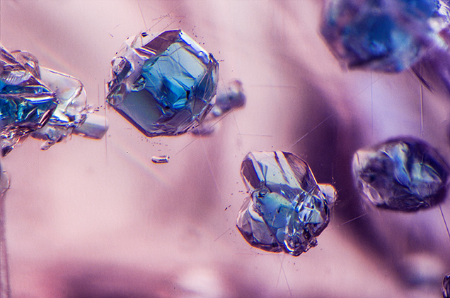 Figure 2. Blue apatite inclusions and rutile needles were prominent throughout the “dragon” garnet reportedly from a new find in Africa. Photomicrograph by Nathan Renfro; field of view 2.40 mm. Figure 2. Blue apatite inclusions and rutile needles were prominent throughout the “dragon” garnet reportedly from a new find in Africa. Photomicrograph by Nathan Renfro; field of view 2.40 mm.
