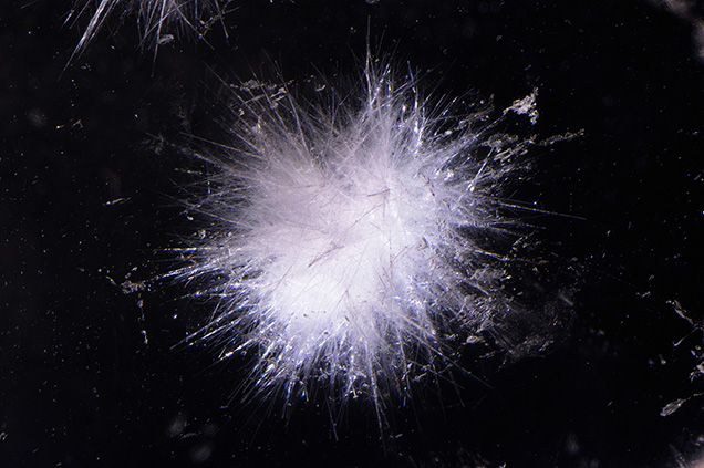 White bavenite needles in quartz. White bavenite needles in quartz.