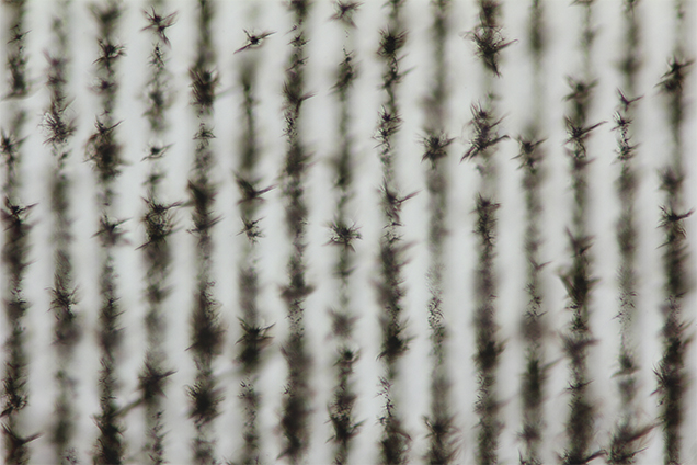 Laser impact created a regular network of small crack clusters.