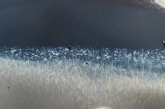 Multiple inclusions at the outer edge of rutile silk.