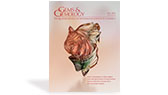 {Download this issue} - image