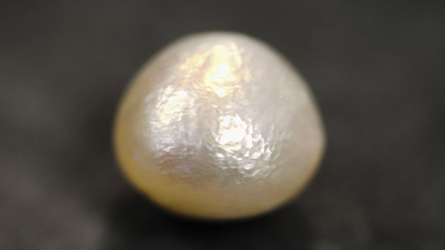 Figure 1. This 9.92 ct white natural pearl displayed a subsurface hammered effect. Photo by Gaurav Bera. Figure 1. This 9.92 ct white natural pearl displayed a subsurface hammered effect. Photo by Gaurav Bera.