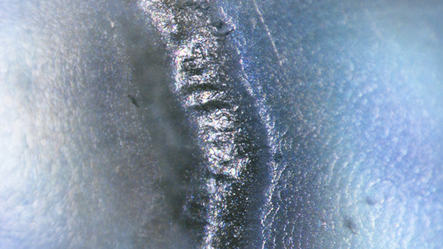 Figure 2. Rounded depressions forming the flame-like structure. Photomicrograph by Nishka Vaz; field of view 0.4 mm. Figure 2. Rounded depressions forming the flame-like structure. Photomicrograph by Nishka Vaz; field of view 0.4 mm.