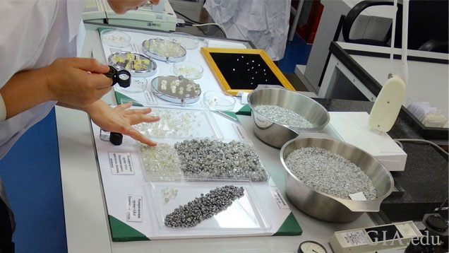 A sorter works at a table lined with sorted piles of diamond rough.
