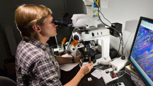 {Build Your Research Career at GIA} - image