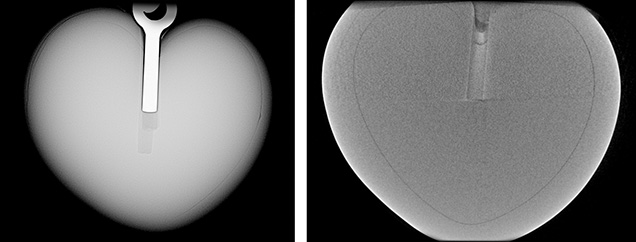 Figure 2. X-ray images from RTX (left) and CT (right) show the demarcation of a heart-shaped bead nucleus with an average nacre thickness of 0.80 mm. Figure 2. X-ray images from RTX (left) and CT (right) show the demarcation of a heart-shaped bead nucleus with an average nacre thickness of 0.80 mm.