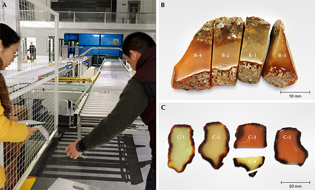 Amber undergoing irradiation treatment to improve its color. Amber undergoing irradiation treatment to improve its color.