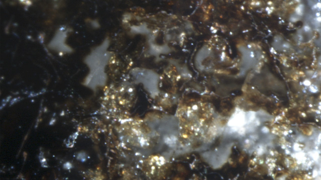 IMG - WN13 LN 157449 636x358 IMG - WN13 LN 157449 636x358