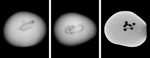 Figure 2. Left: RTX image taken along the pearl’s thickest direction showing a stacked internal structure that could be misinterpreted as a void typically observed in non-bead cultured pearls. Center: RTX image from the flat direction revealing a tubular feature in the center. Right: μ-CT image revealing multiple interconnected rounded voids. Figure 2. Left: RTX image taken along the pearl’s thickest direction showing a stacked internal structure that could be misinterpreted as a void typically observed in non-bead cultured pearls. Center: RTX image from the flat direction revealing a tubular feature in the center. Right: μ-CT image revealing multiple interconnected rounded voids.