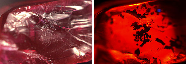 Filler Photomicrographs. Filler Photomicrographs.