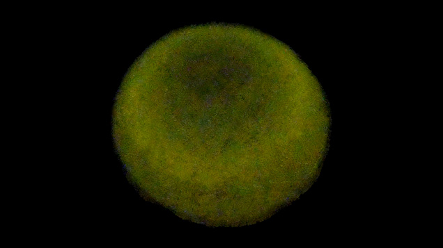 Figure 3. XRF reaction of the pearl, with the sides appearing brighter than the base and apex. Figure 3. XRF reaction of the pearl, with the sides appearing brighter than the base and apex.