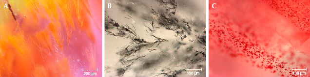 This multi-colored quartz features golden “broom-like,” horsetail-like, and platelet inclusions. This multi-colored quartz features golden “broom-like,” horsetail-like, and platelet inclusions.