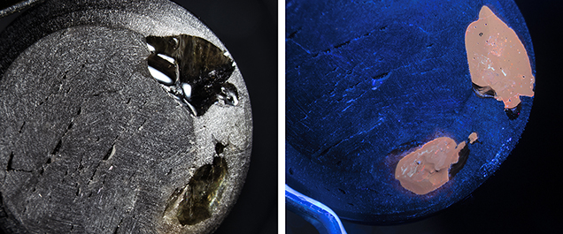 Large pits (left) filled with dopping varnish (right). Large pits (left) filled with dopping varnish (right).