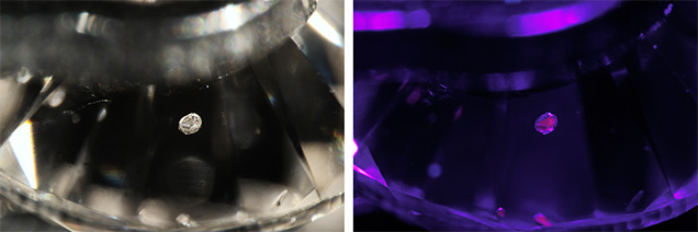 Corundum inclusion shown under different lighting conditions. Corundum inclusion shown under different lighting conditions.