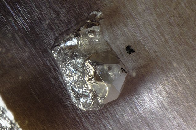 Apatite and CO2 composite inclusion.