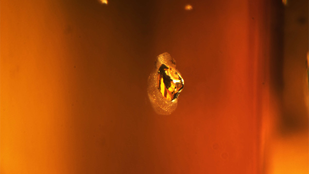 This anhedral crystal formed a halo after HPHT treatment. This anhedral crystal formed a halo after HPHT treatment.