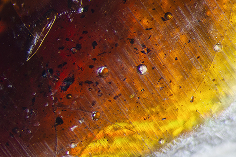Gas bubbles and debris in the shellac. Gas bubbles and debris in the shellac.