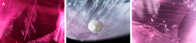 Figure 2. A: The Rose channels take on a more spotted appearance and can have multiple partially healed fractures around them; field of view 1.44 mm. B: This crystal was completely destroyed; all that remains is a cottony “snowball” inclusion; field of view 1.80 mm. C: All of the inclusions in this cluster developed partially healed fractures around them; field of view 3.60 mm. Photomicrographs by S. Wongchacree (A) and C. Khowpong (B and C).