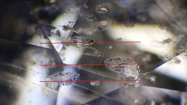 Oriented discoid fractures within the sapphire host. Oriented discoid fractures within the sapphire host.
