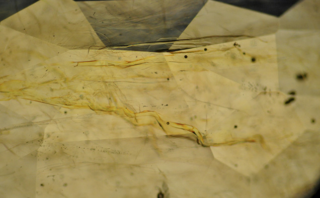 4.27 ct sapphire was filled with orangy yellow lead glass