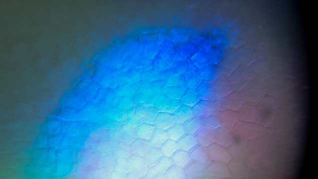 Synthetic opal photomicrograph Synthetic opal photomicrograph