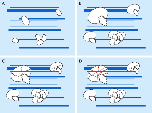Healing process of discoid fractures during high pressure and high temperature treatment. Healing process of discoid fractures during high pressure and high temperature treatment.