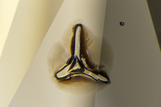 Unusually shaped, three-spoke inclusion of olivine. Unusually shaped, three-spoke inclusion of olivine.