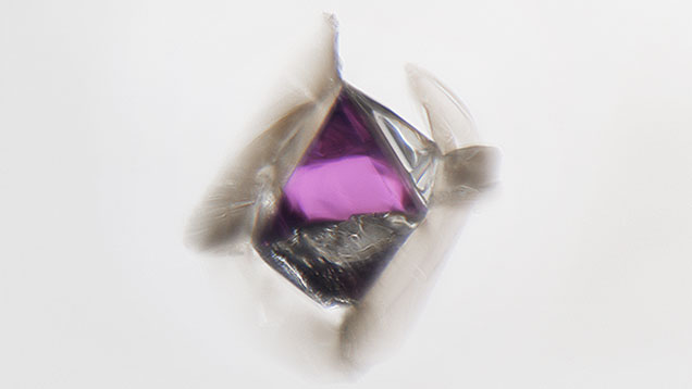A purplish pink xenomorphic octahedral garnet crystal seen in a diamond. Note the trigons on the upper right octahedral face and stress fractures around the intersections of the crystal faces. Photomicrograph by Britni LeCroy; field of view 1.26 mm. A purplish pink xenomorphic octahedral garnet crystal seen in a diamond. Note the trigons on the upper right octahedral face and stress fractures around the intersections of the crystal faces. Photomicrograph by Britni LeCroy; field of view 1.26 mm.
