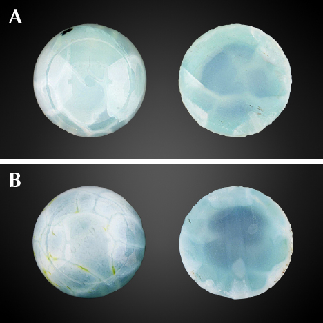 Quench-crackled dyed chalcedony cross sections showing internal fractures.