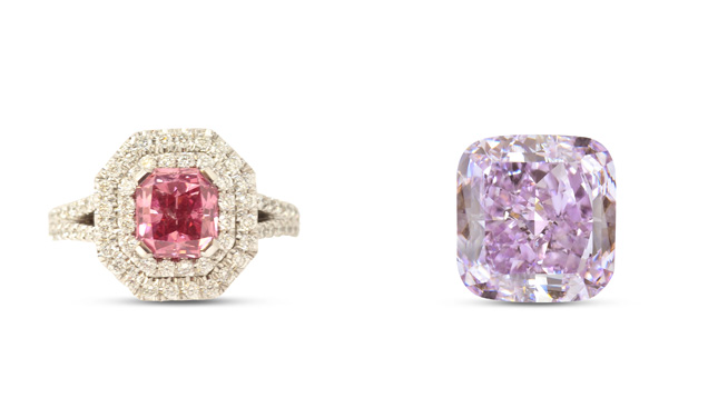繁栄のピンクオーキッドとパープルオーキッド