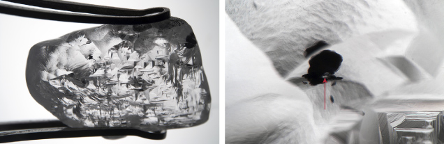 Figure 9. This 2.13 ct superdeep diamond (left; and shown at the center of figure 8) has an irregular shape and strongly resorbed surface marked by many square etch pits or tetragons, which arise from resorption of {100} cube-orientation surfaces. The inclusion (right; red arrow) is a colorless crystal of breyite surrounded by a black graphitic fracture. Photos by Evan M. Smith; fields of view 14.52 mm (left) and 1.58 mm (right).